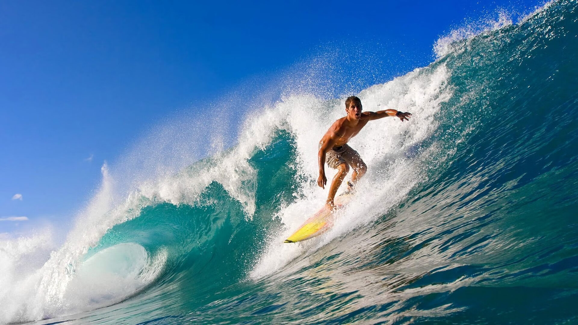 球队在全球杯篮球赛上夺冠，成为焦点，全球杯什么时候开始